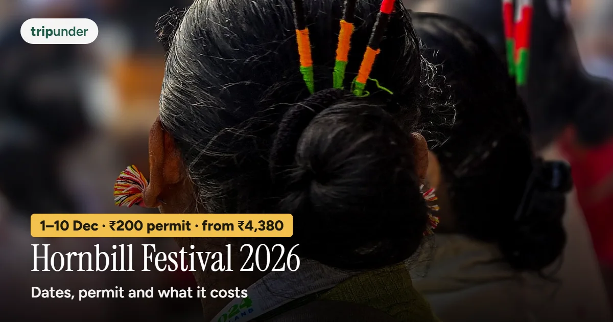 A traditional Naga headdress at the Hornbill Festival in Kisama