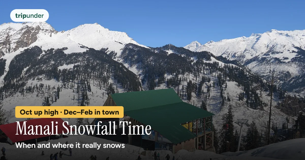 Snow-covered slopes and pines in Solang Valley above Manali
